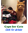 Click for infor on Caps for Cats