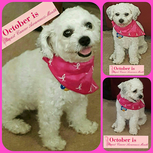 Riley supports Breast Cancer Awareness Month