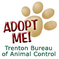 Click to visit Trenton Bureau of Animal Control